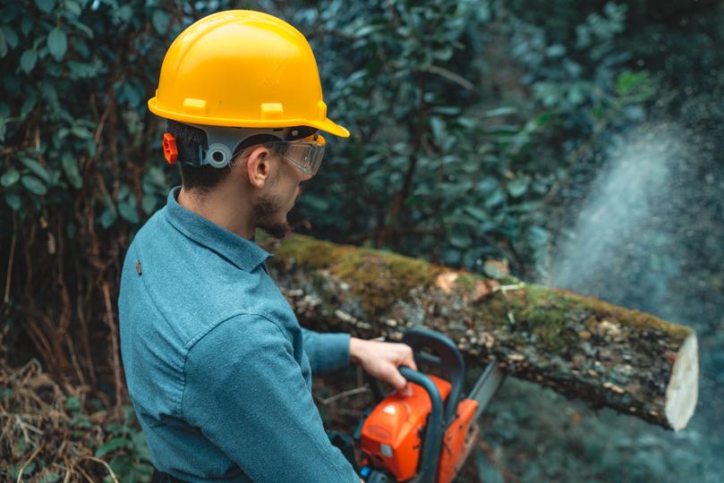 How LocalTreeSurgeon connects you with tree trimming companies