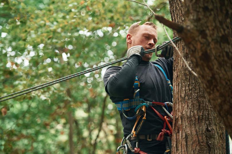 how LocalTreeSurgeon works for tree service projects