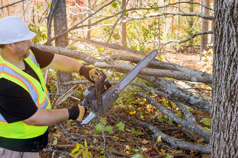 A stump grinder removing a tree stump from a property