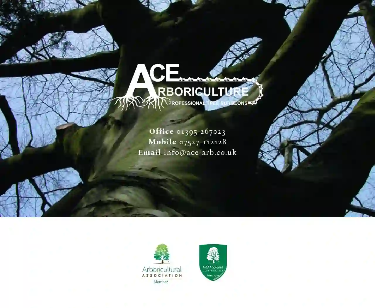 ACE ARBORICULTURE Ltd