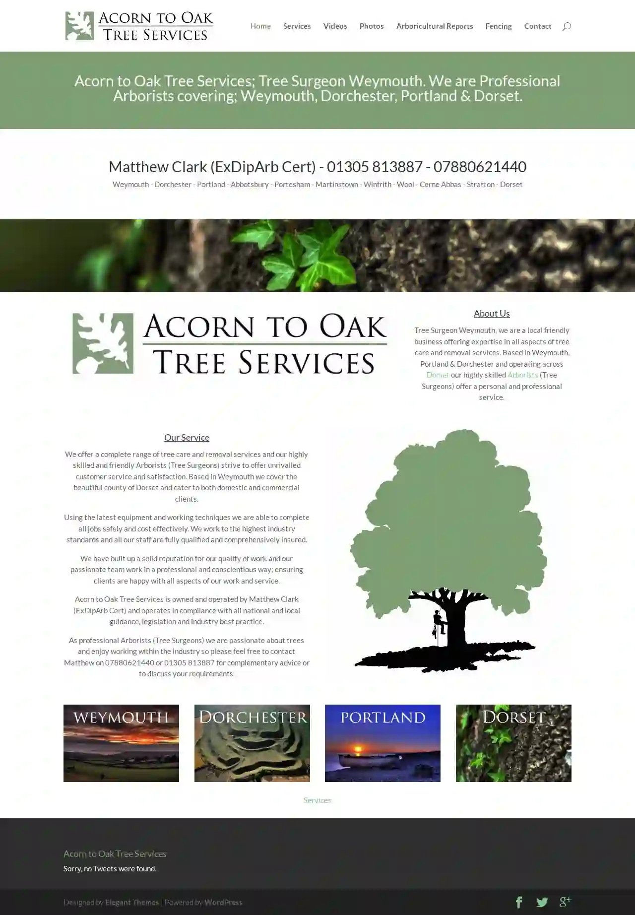 Acorn to Oak Tree Services