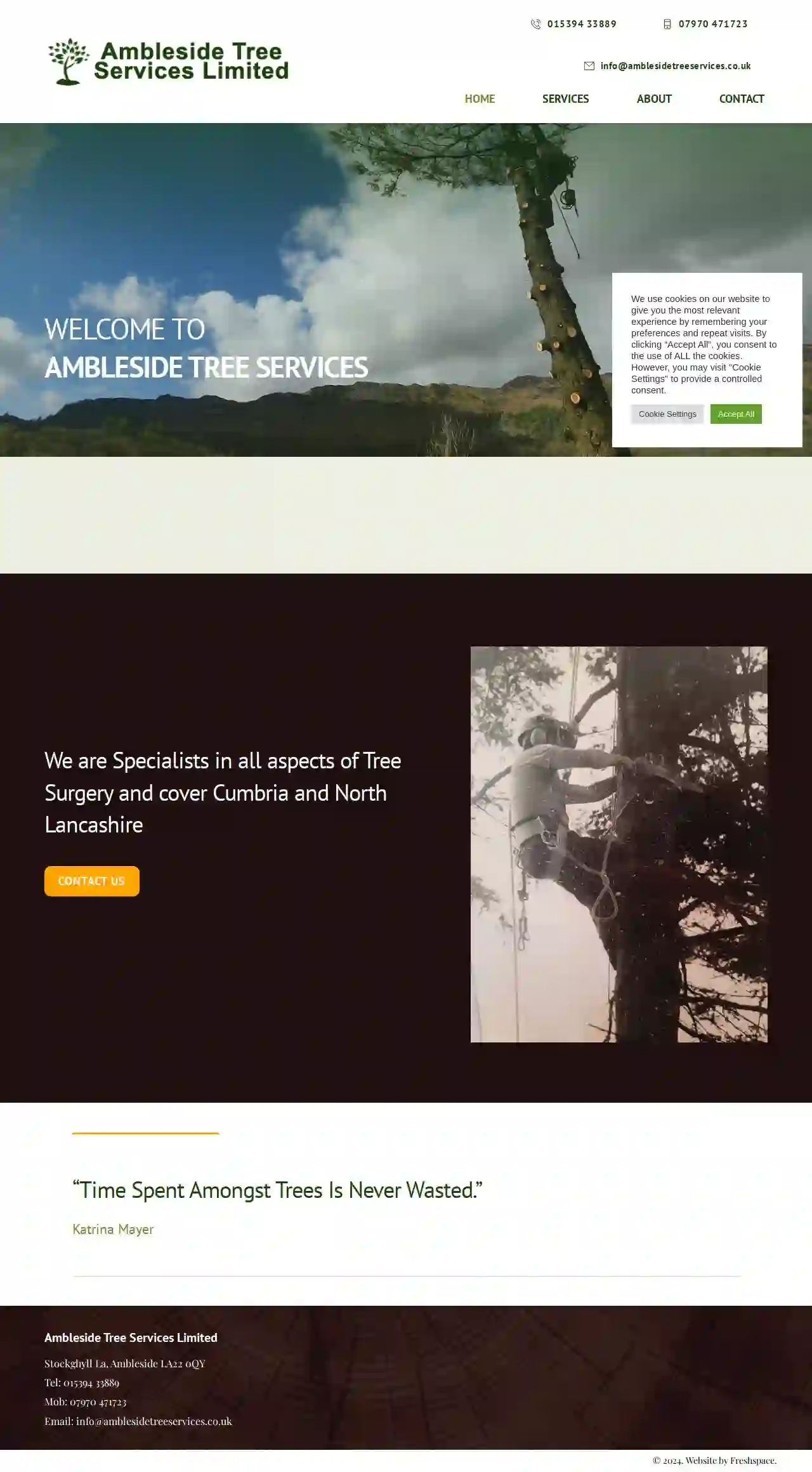 Ambleside Tree Services Ltd