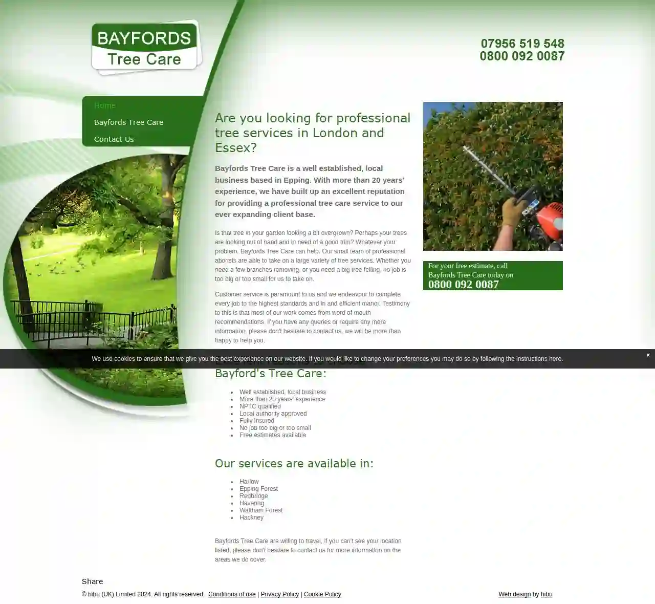 Bayford's Tree Care