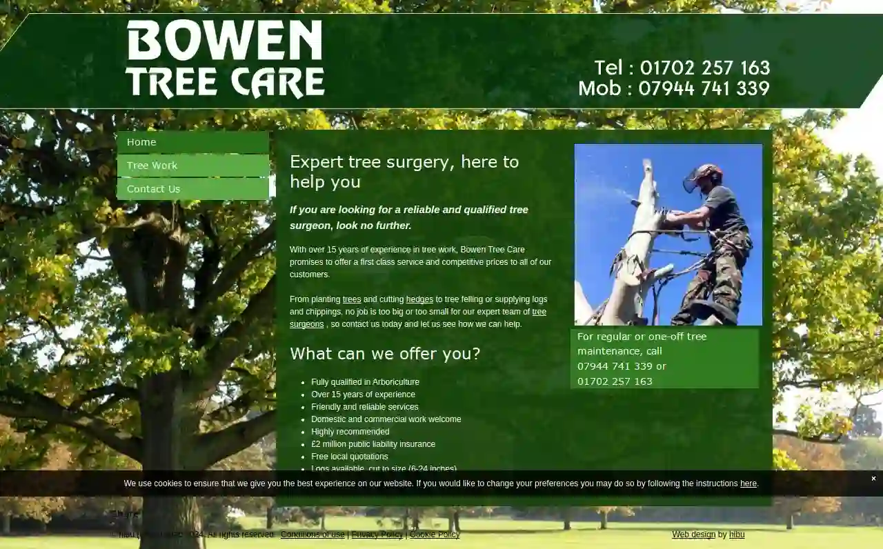 Bowen Tree Care