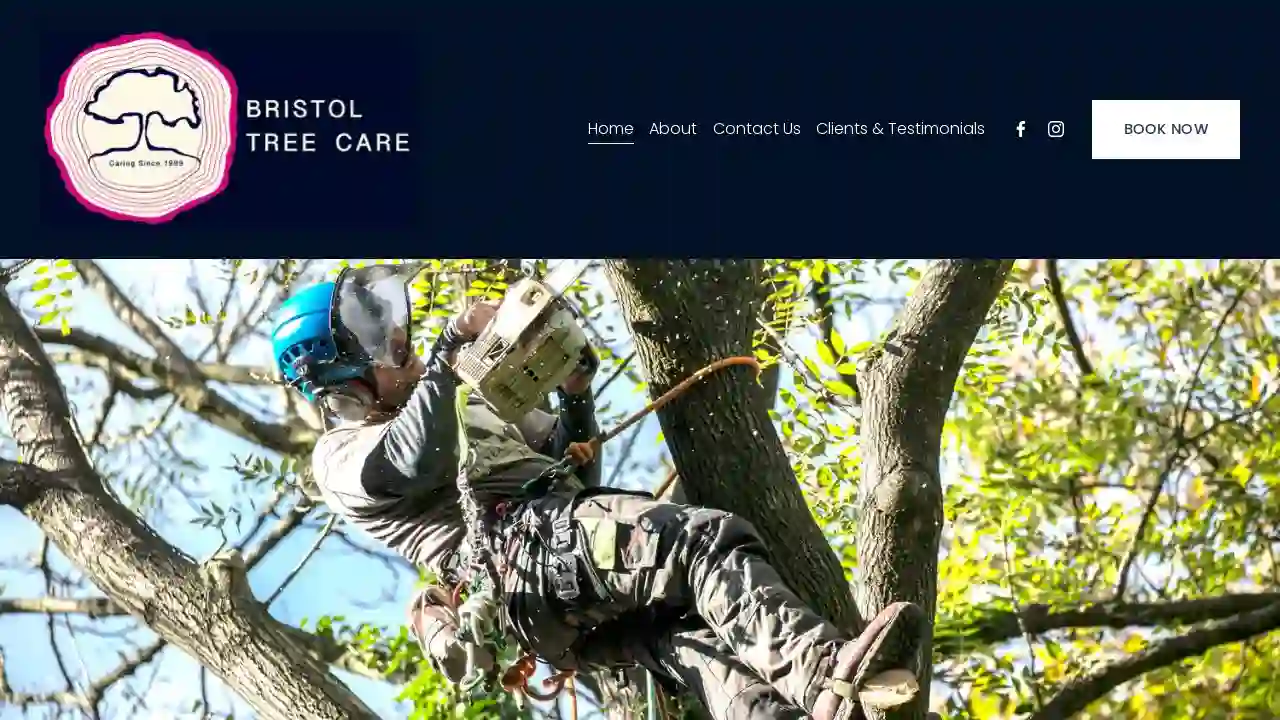 Bristol Tree Care