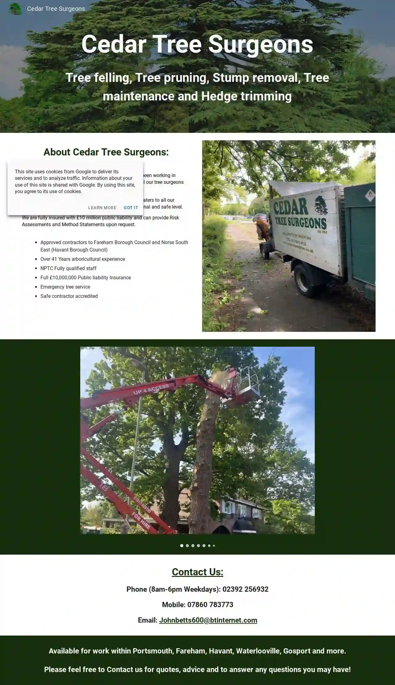 Cedar Tree Surgeons