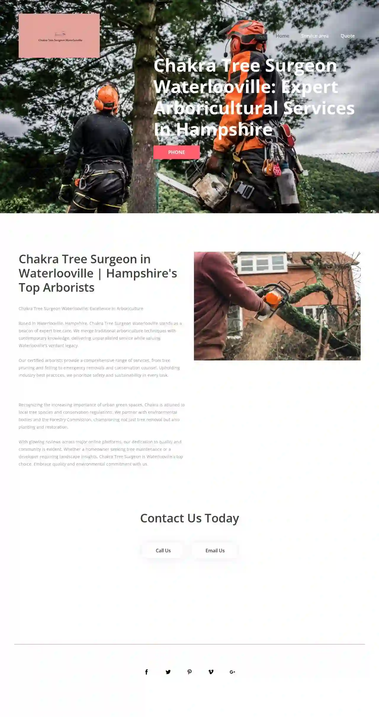 Chakra Tree Surgeon Waterlooville