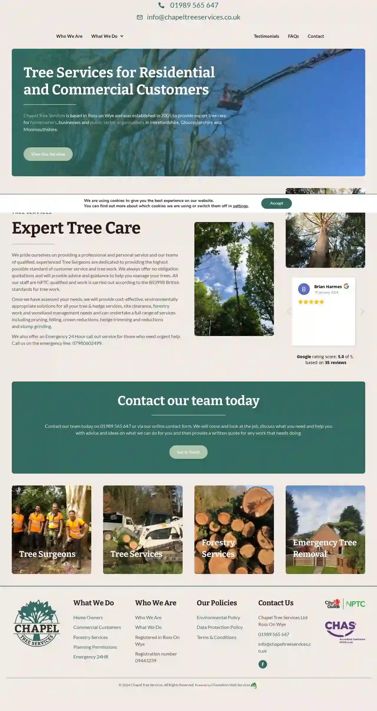 Chapel Tree Services