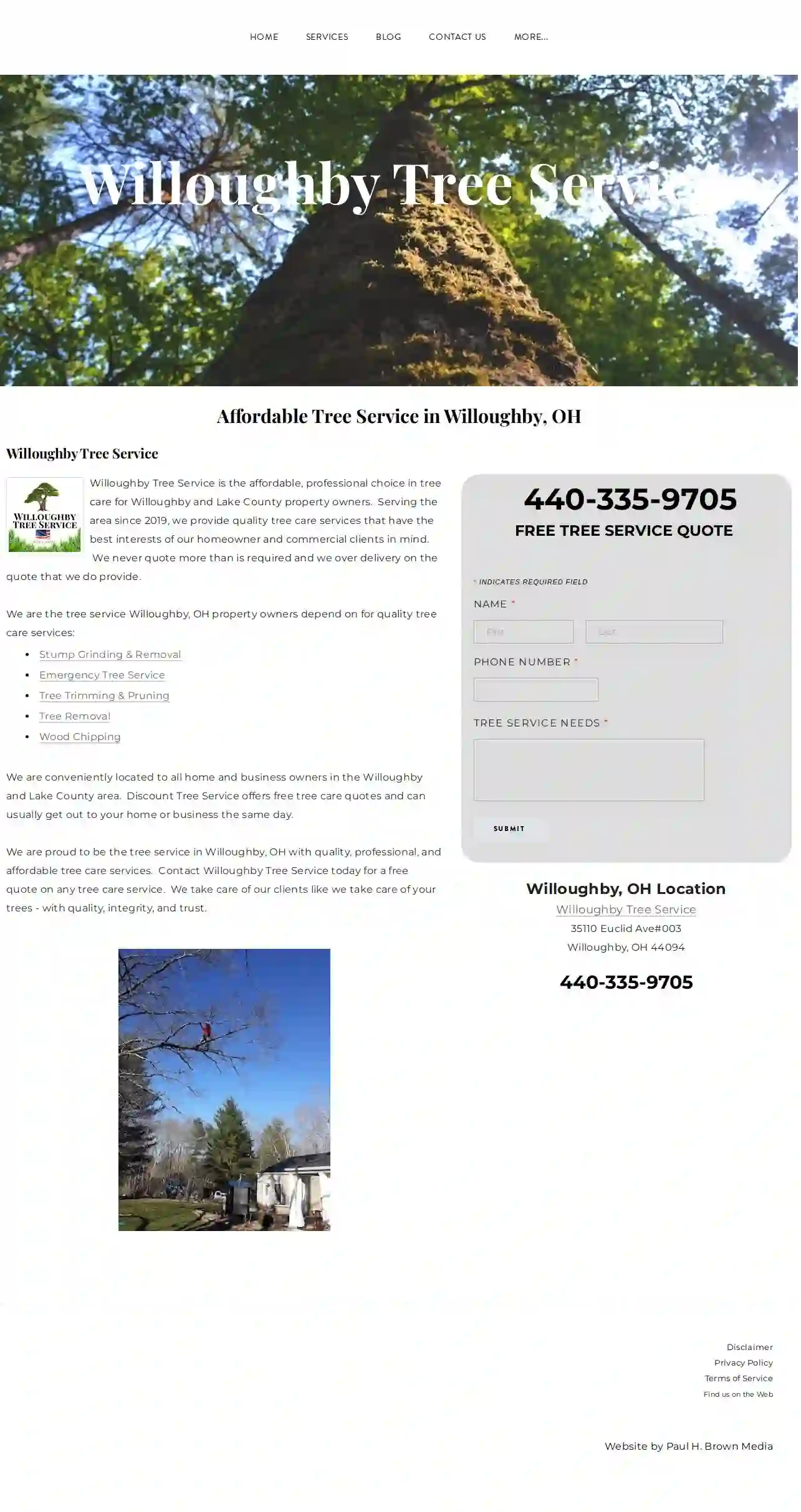 Willoughby Tree Service