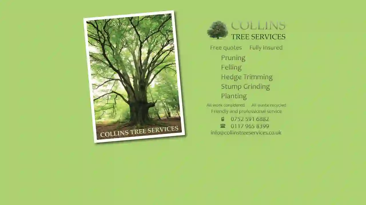 Collins Tree Services