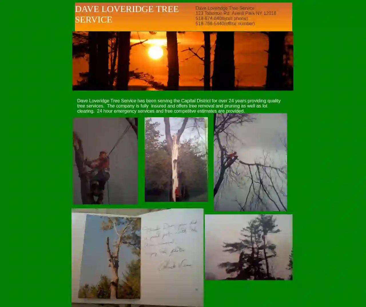 Dave Loveridge Tree Service