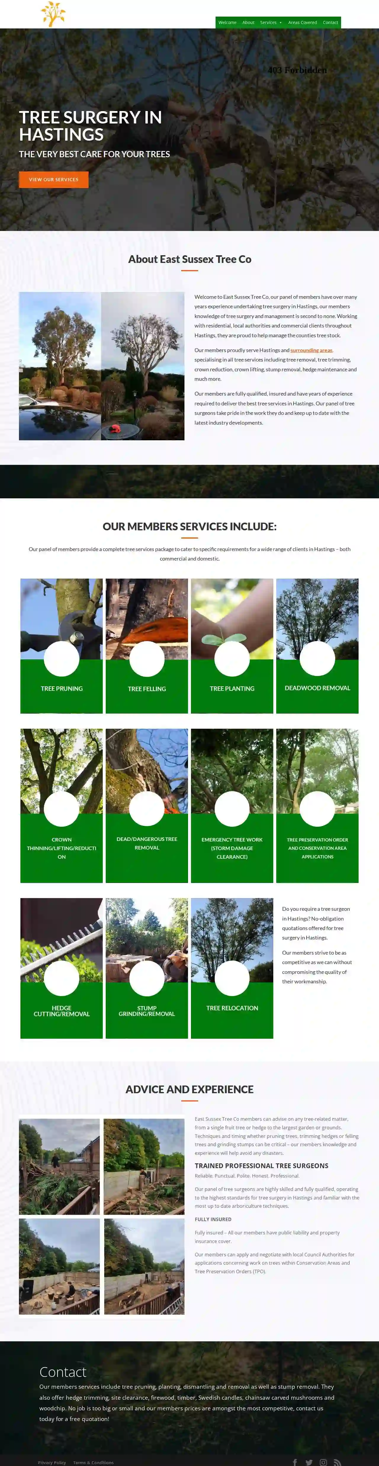 Tree surgeons Hastings - Fishers tree care