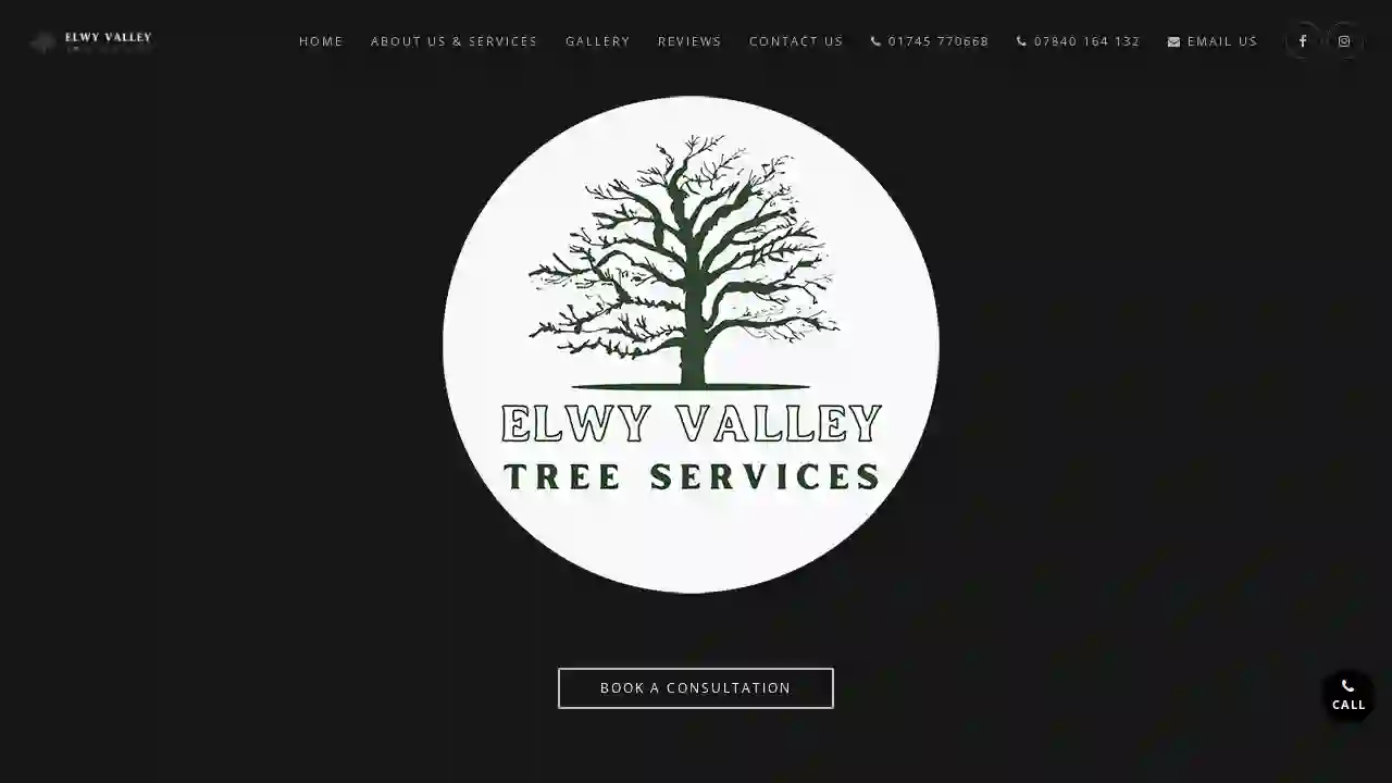 Elwy Valley Tree Services