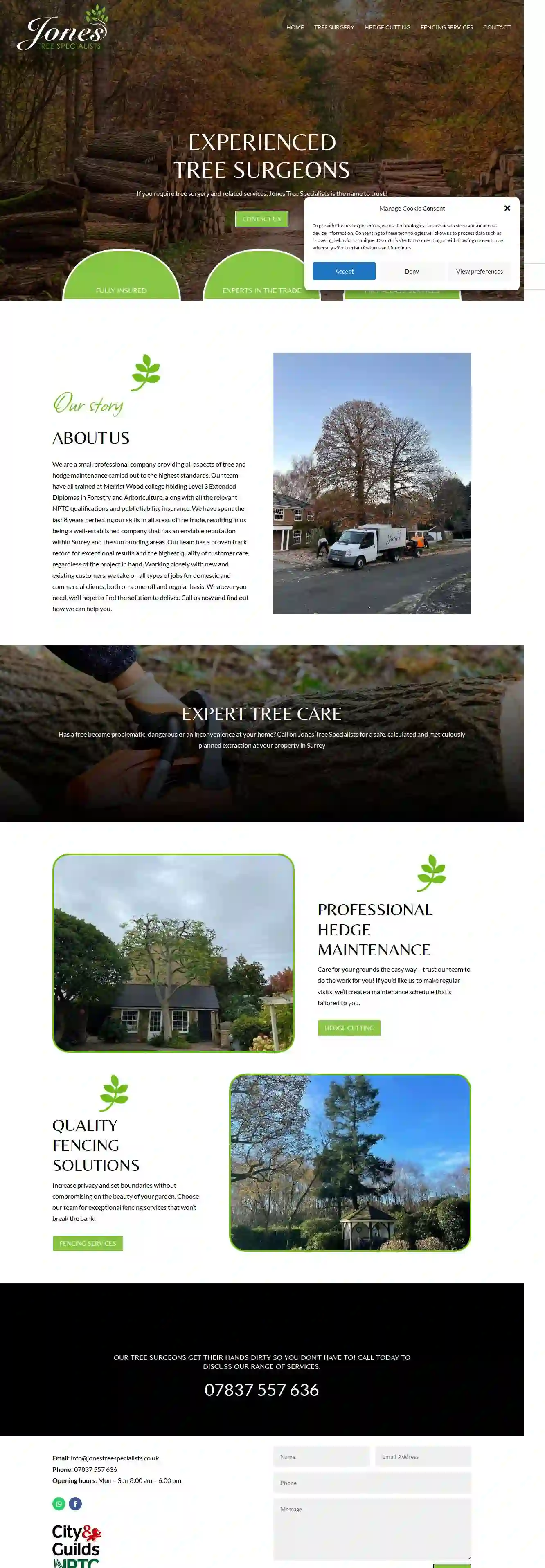 Jones Tree Specialists