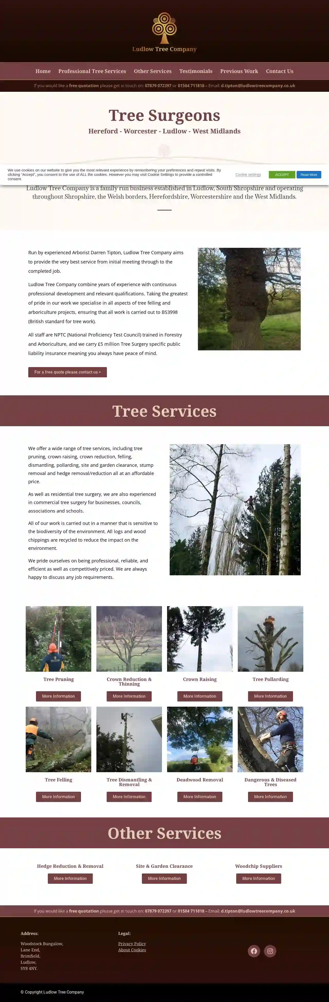 Ludlow Tree Company