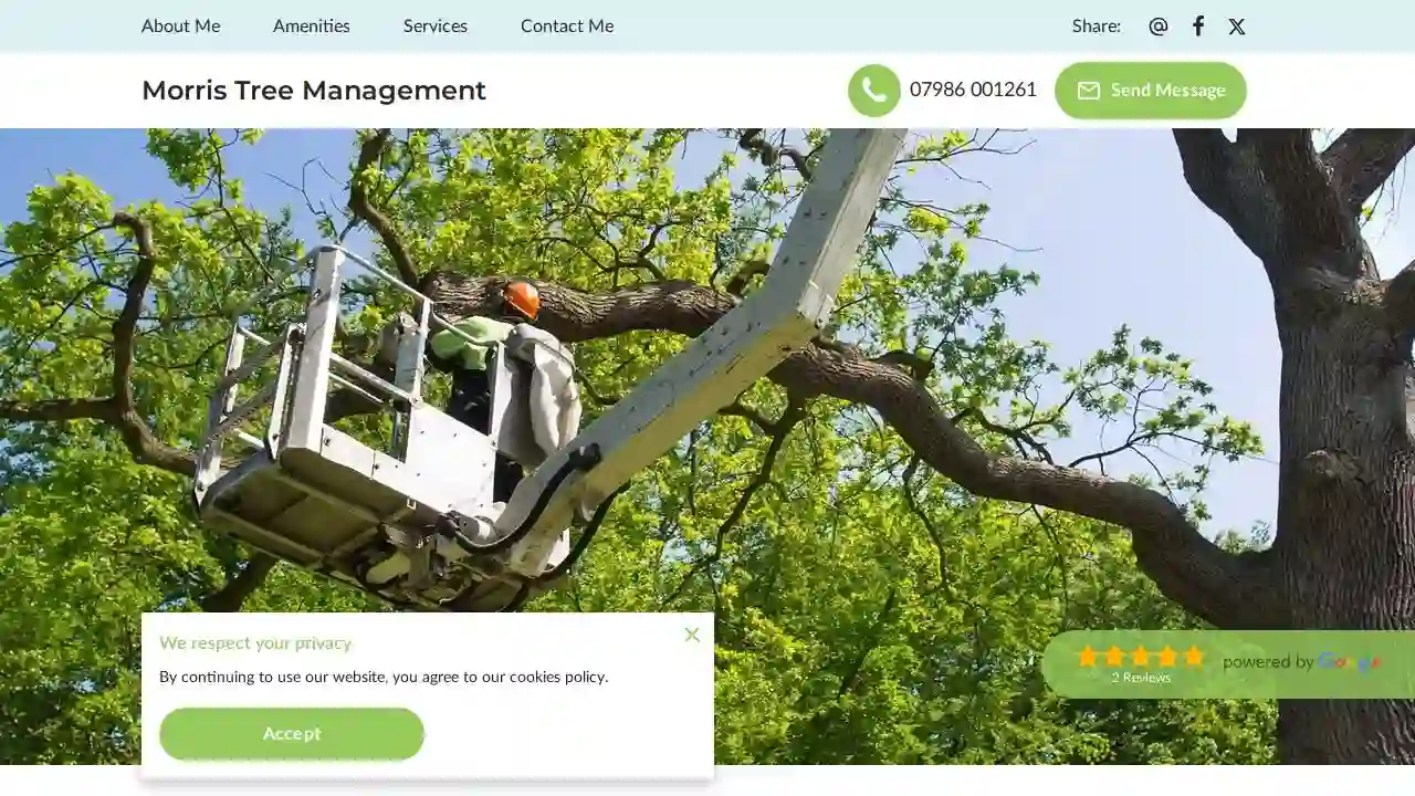 Morris Tree Management