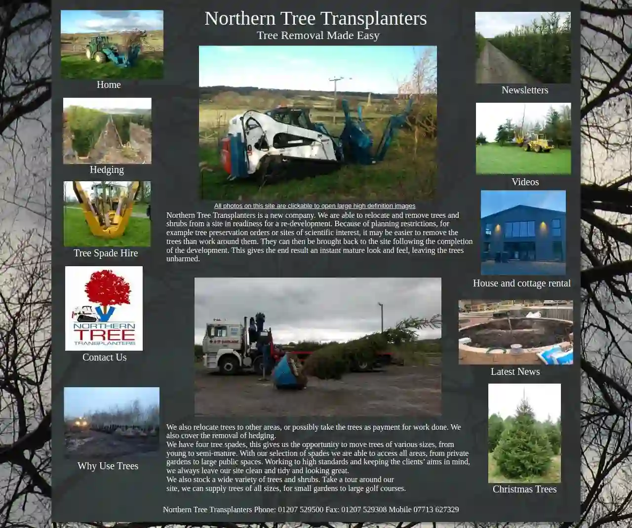 Northern Tree Transplanters