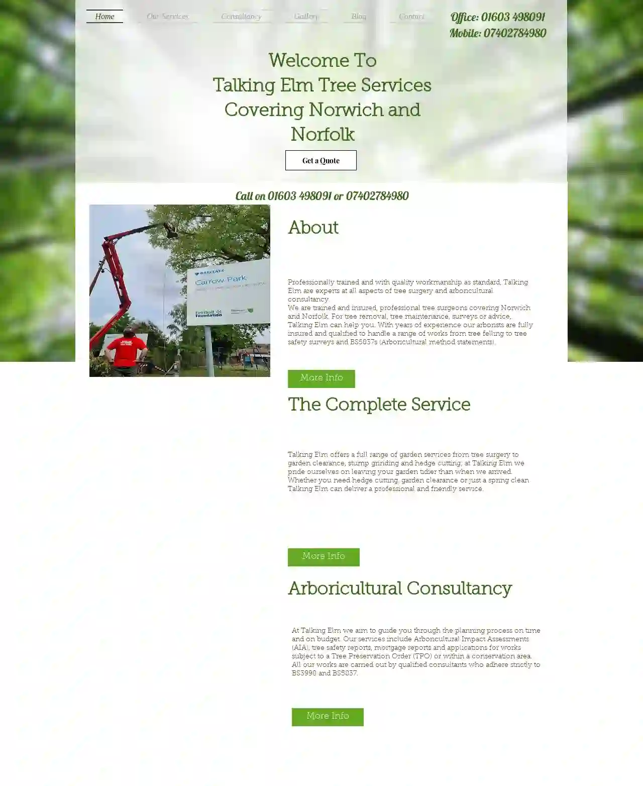 Talking Elm Tree Services