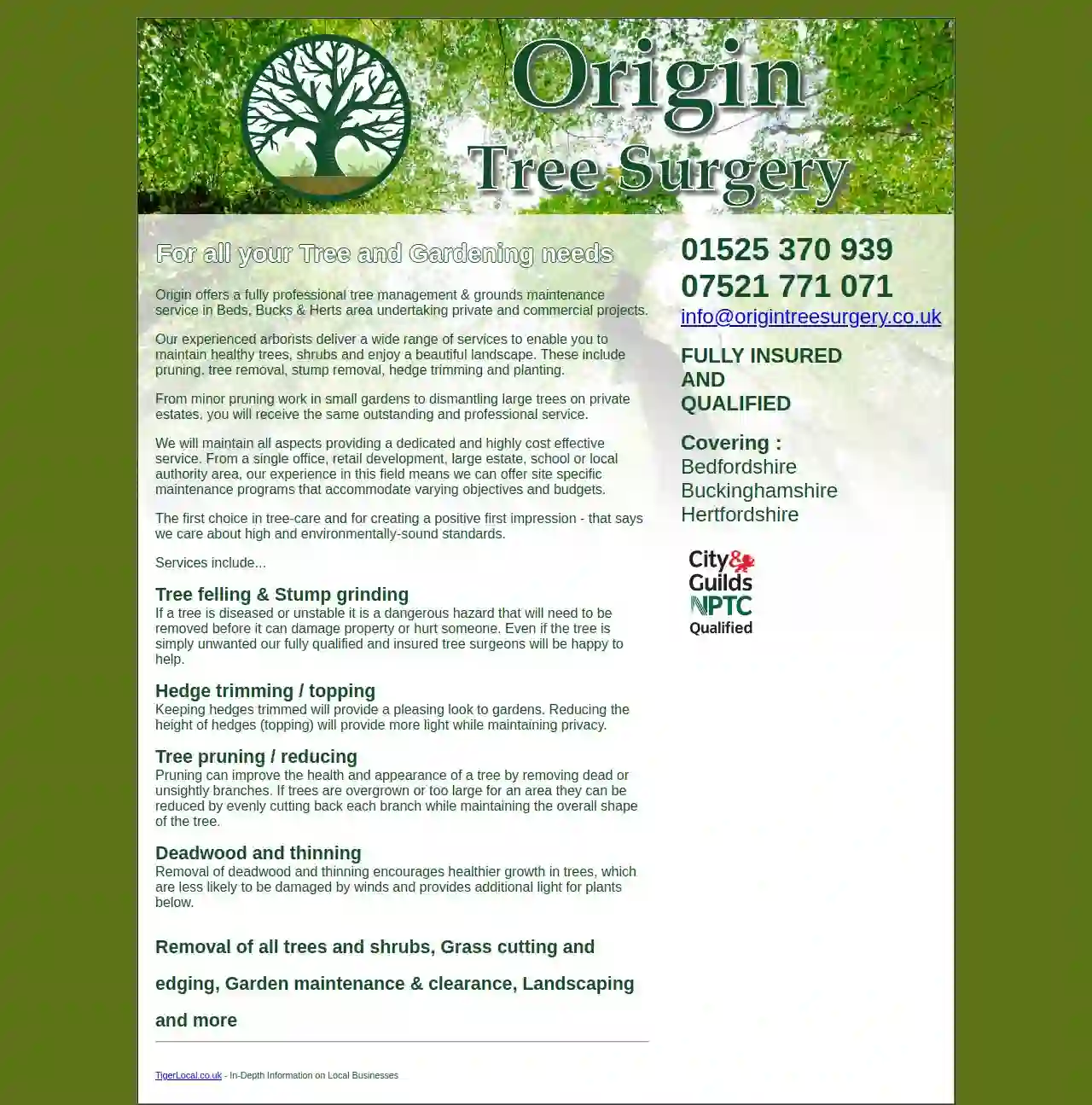 Origin Tree Surgery