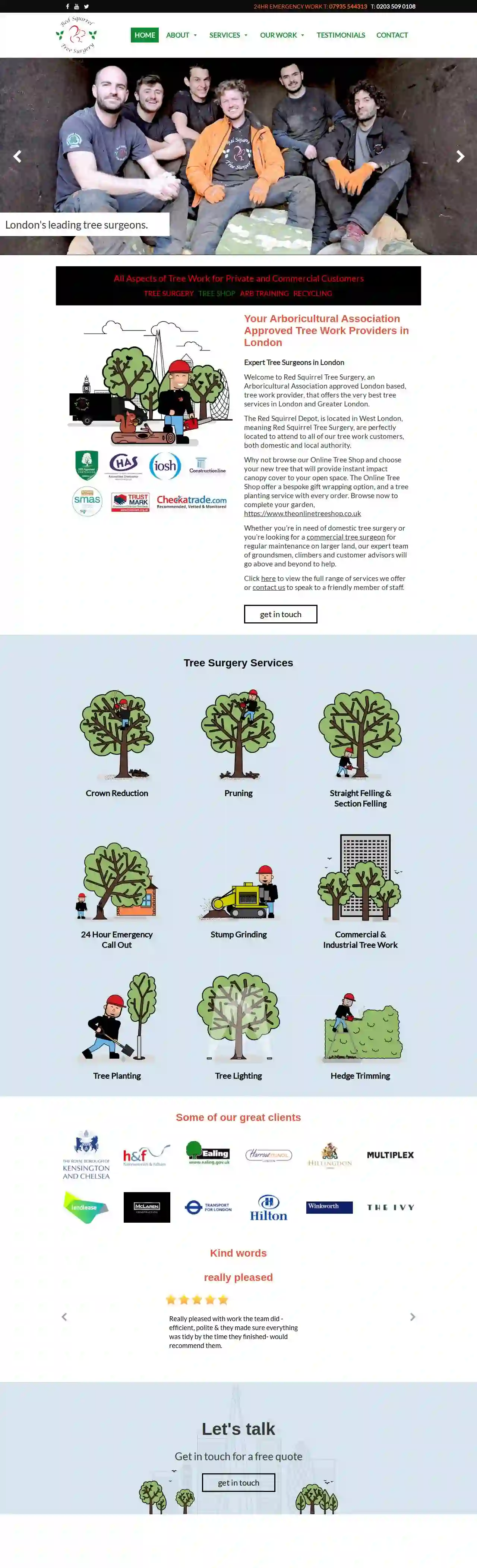 Red Squirrel Tree Surgery