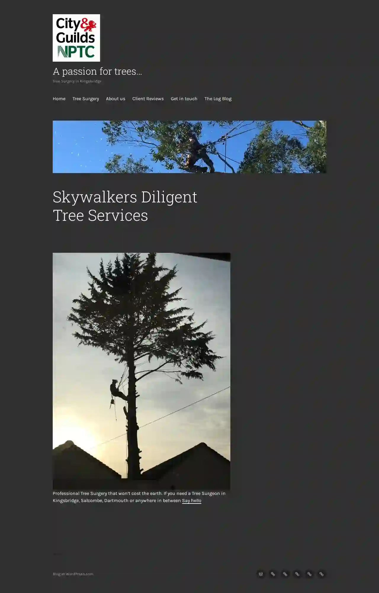 Skywalkers Diligent Tree Services