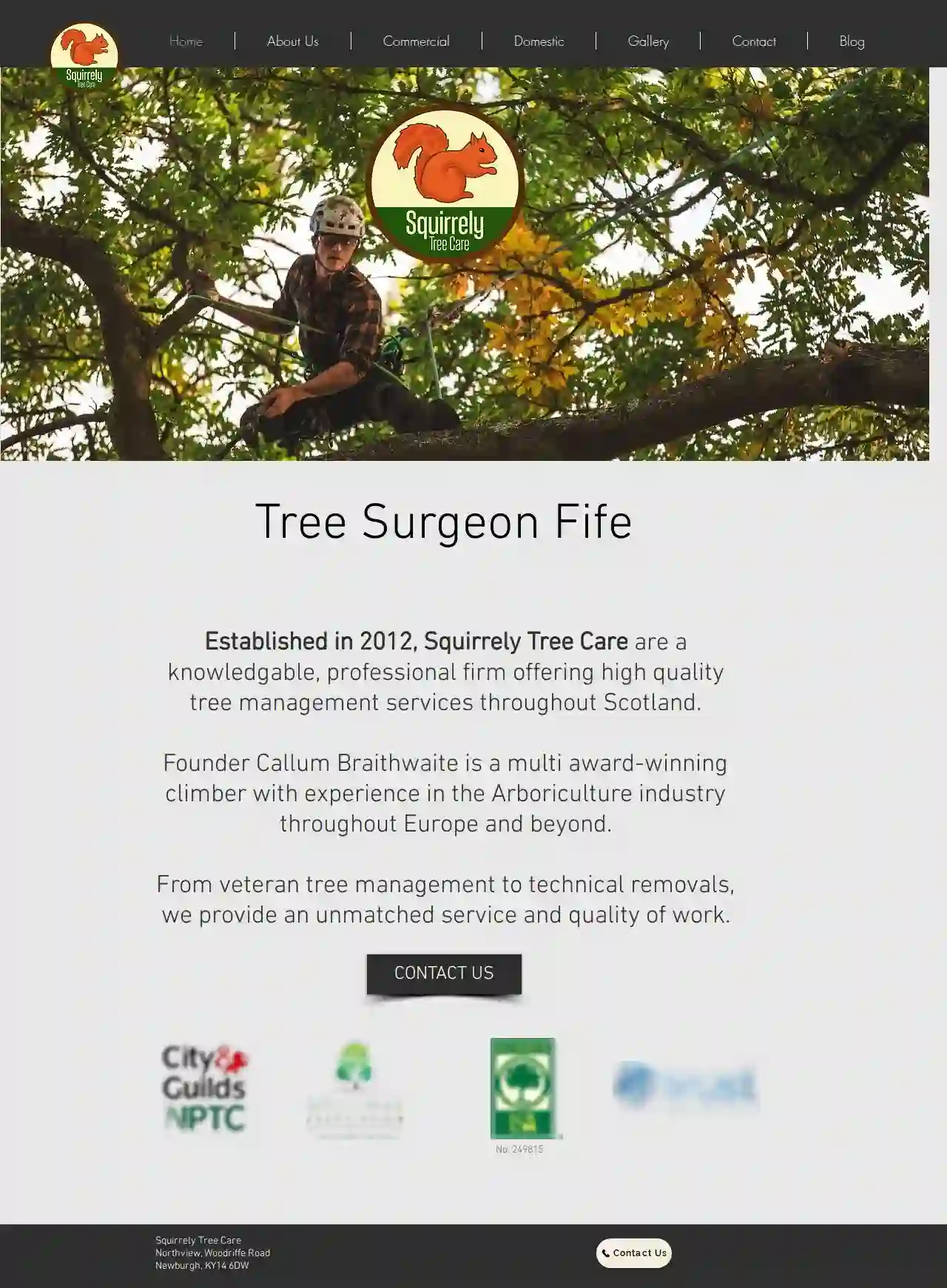 Squirrely Tree Care