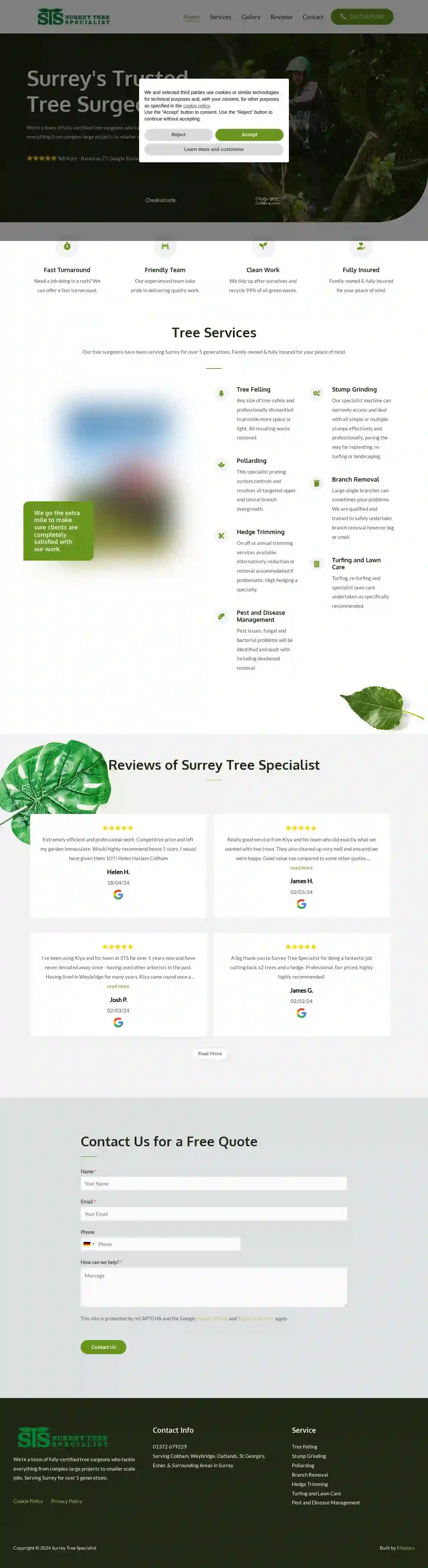 Surrey Tree Specialist