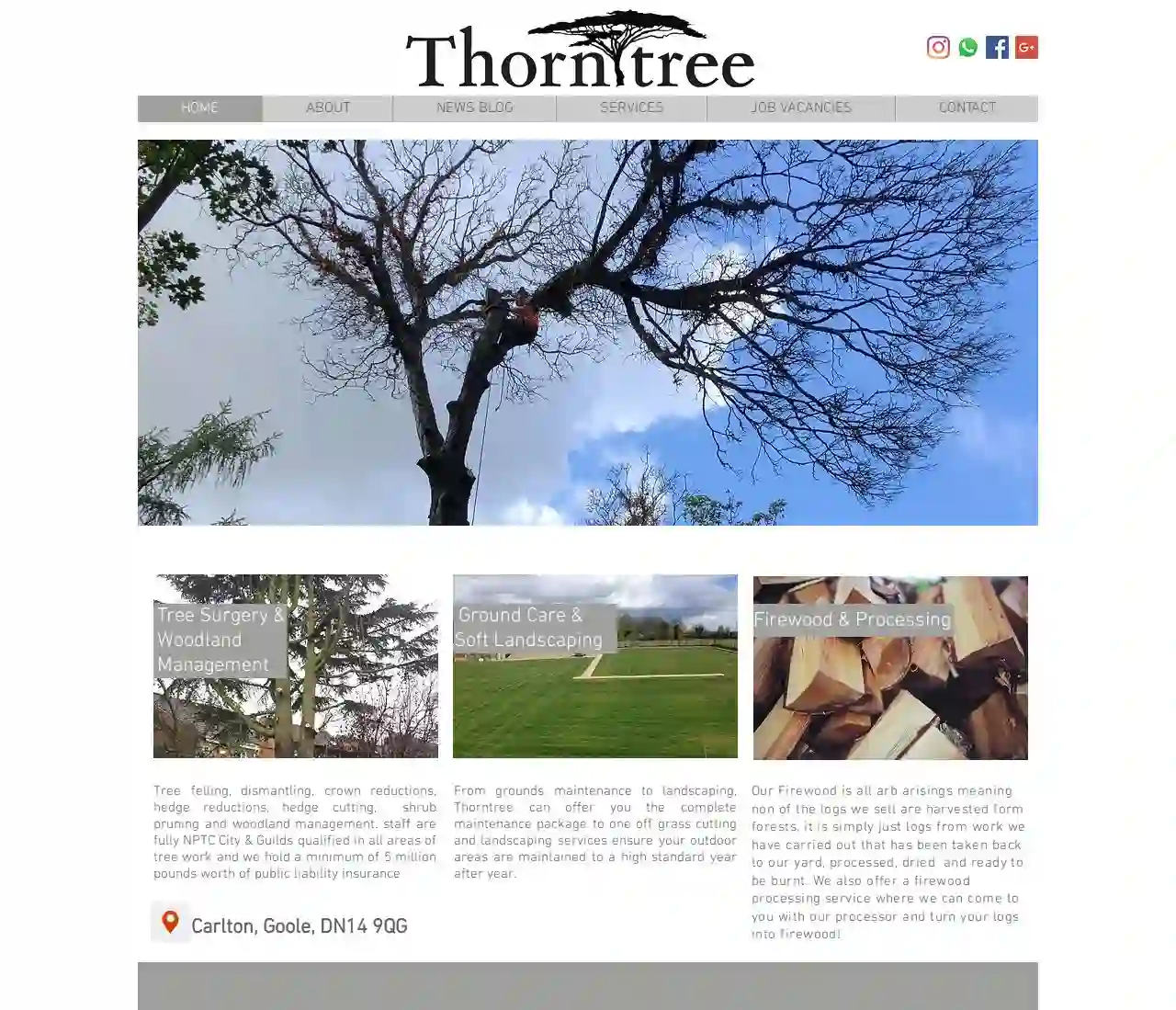 Thorntree Tree Services