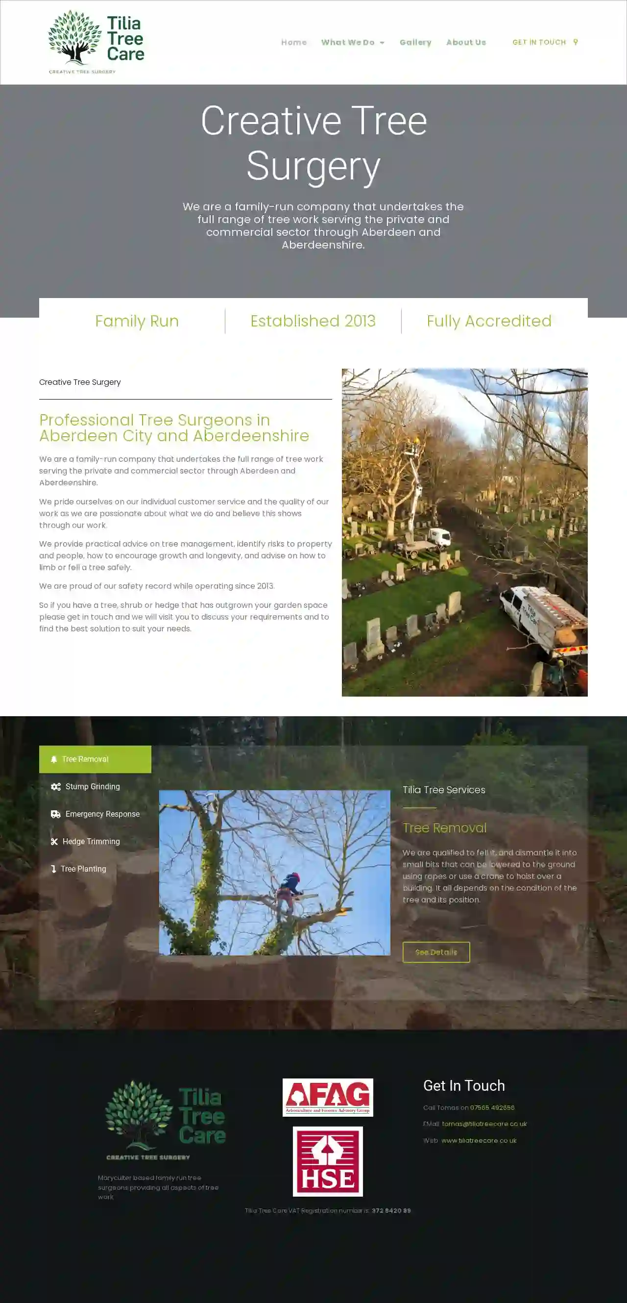 Tilia Tree Care