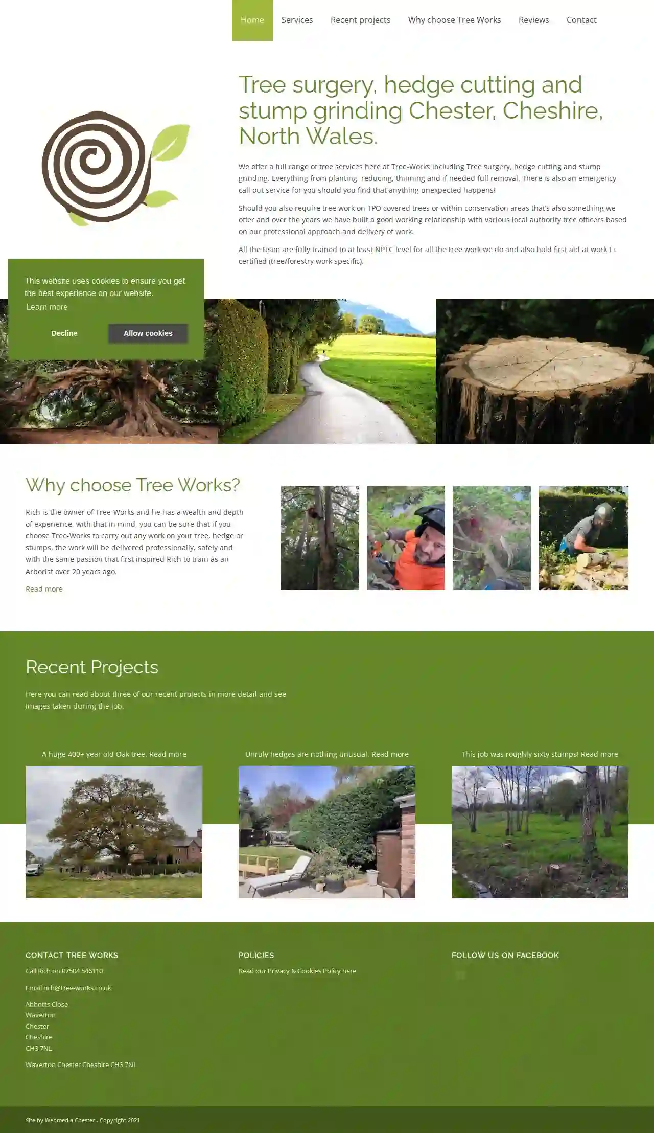 Tree Works Chester