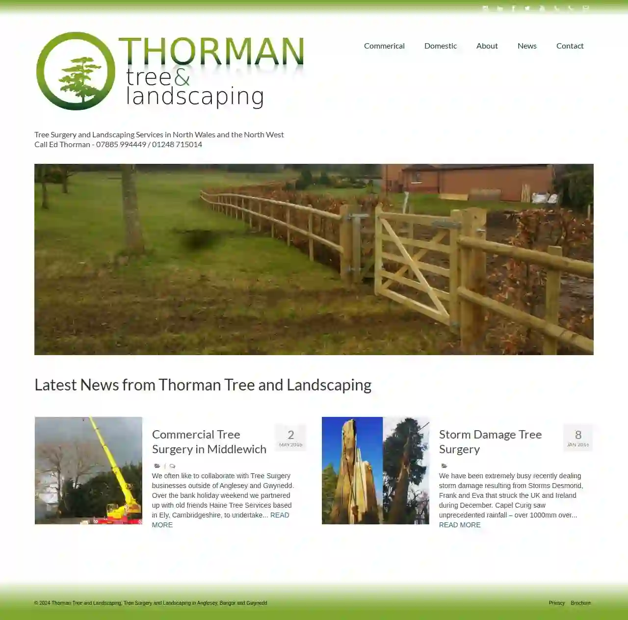 Thorman Tree Surgery & Landscaping