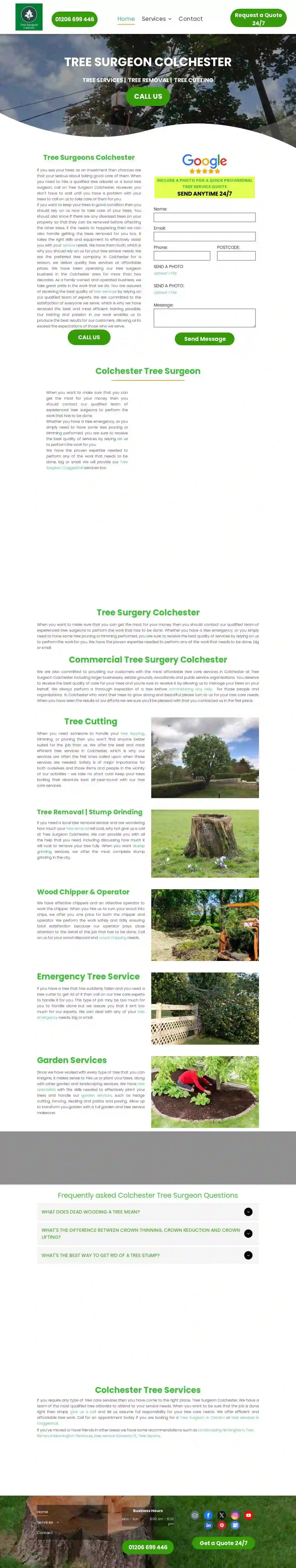 Tree Surgeon Colchester