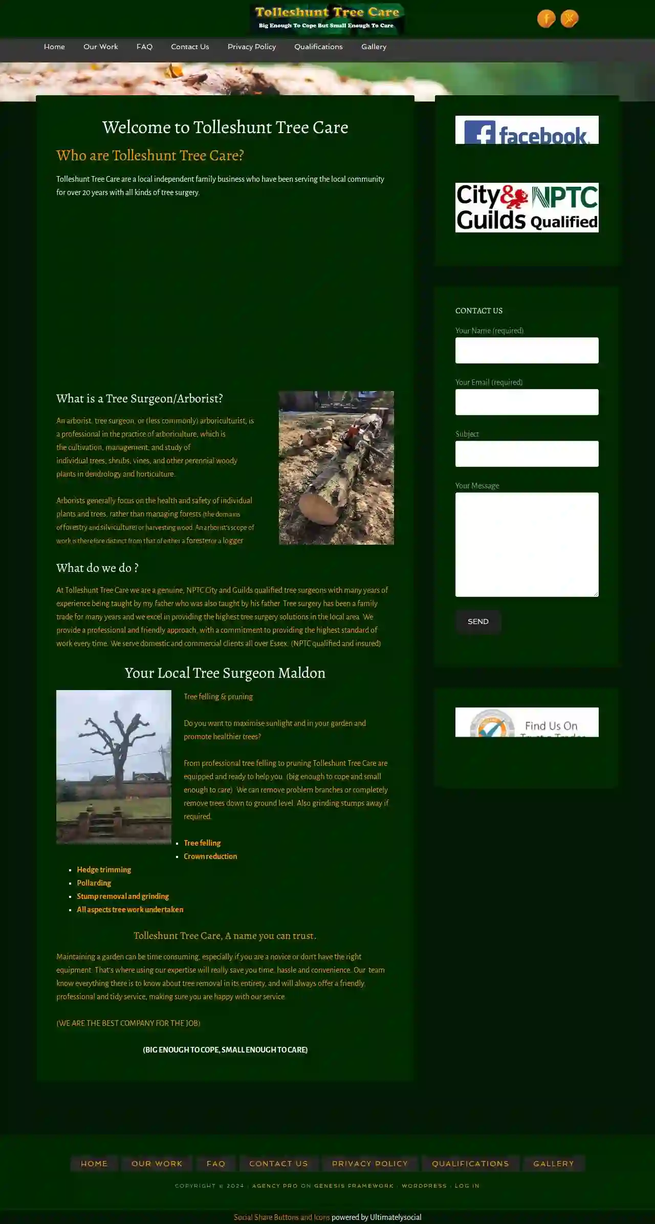 Tolleshunt Tree Care