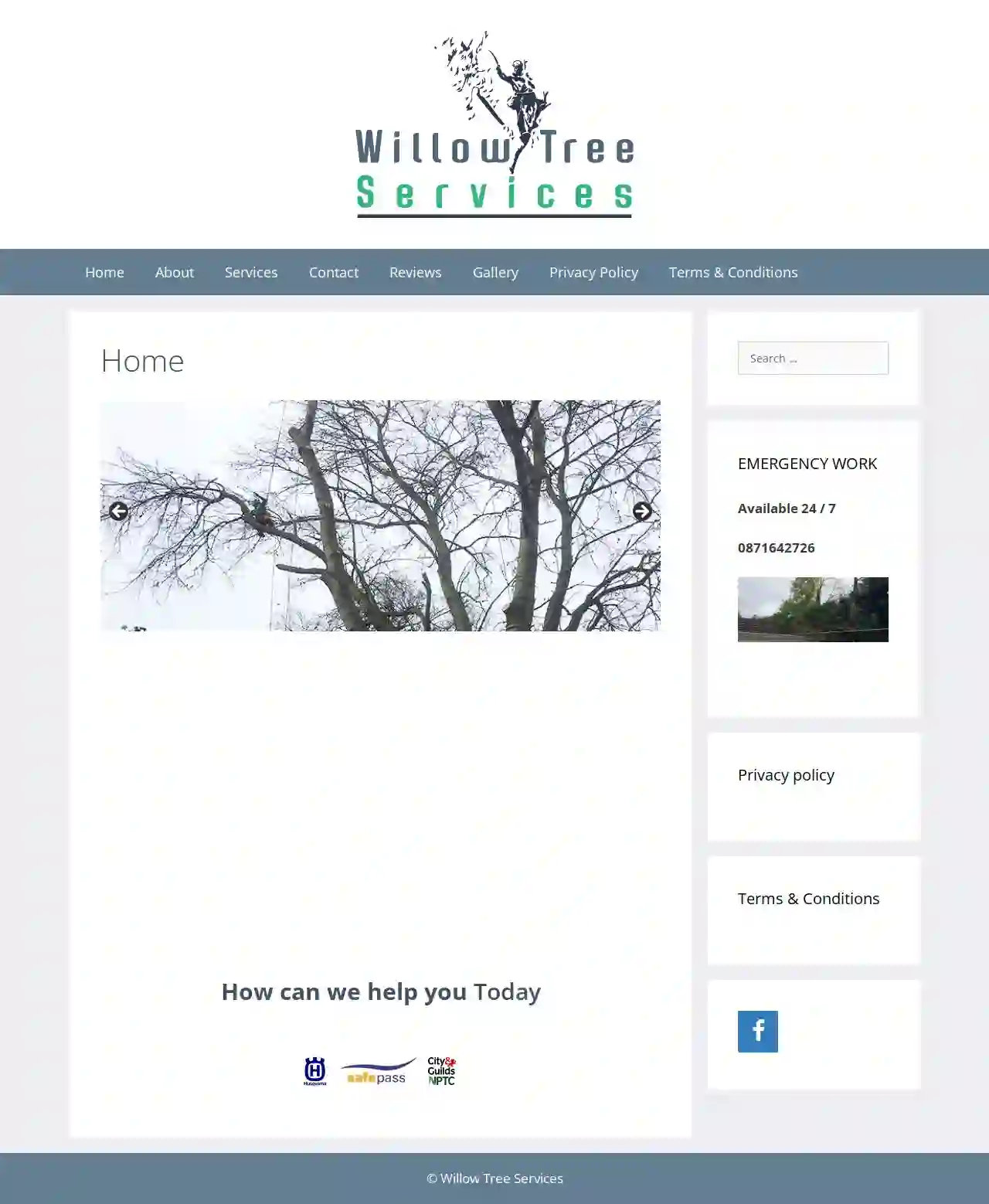 Willow Tree Services