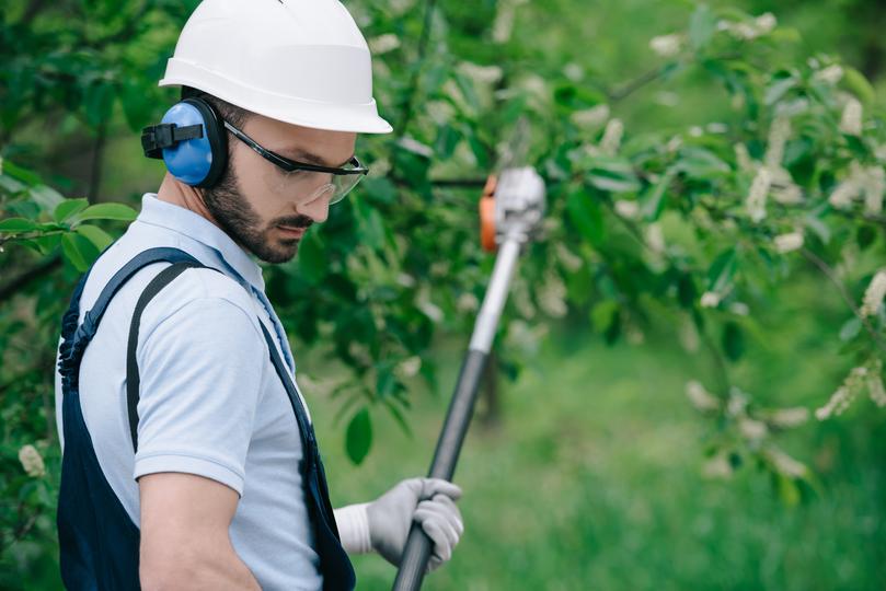 LocalTreeSurgeon: Your trusted partner for stump removal in UK