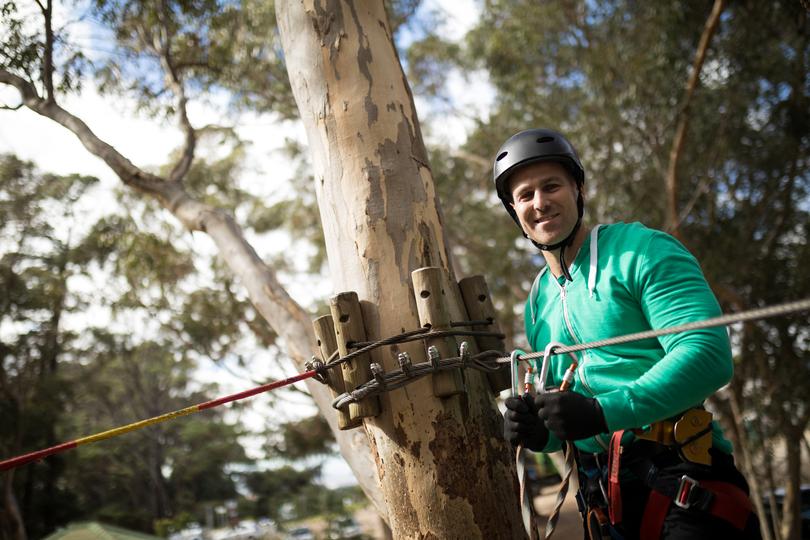 How LocalTreeSurgeon connects you with tree service companies